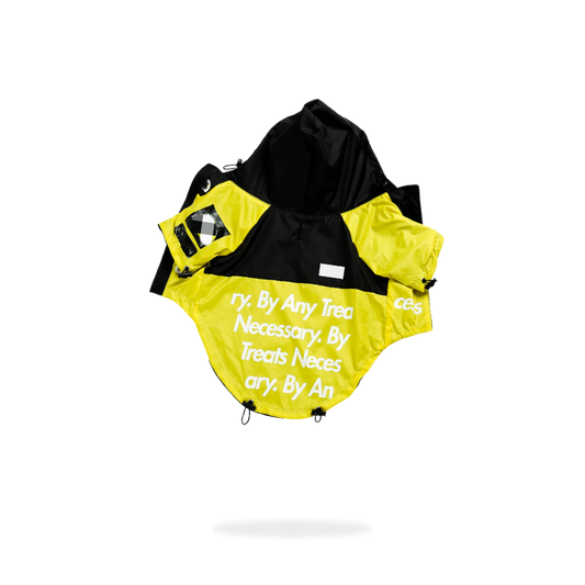 Pet Shirt