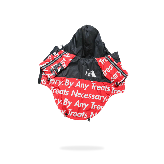 Pet Shirt