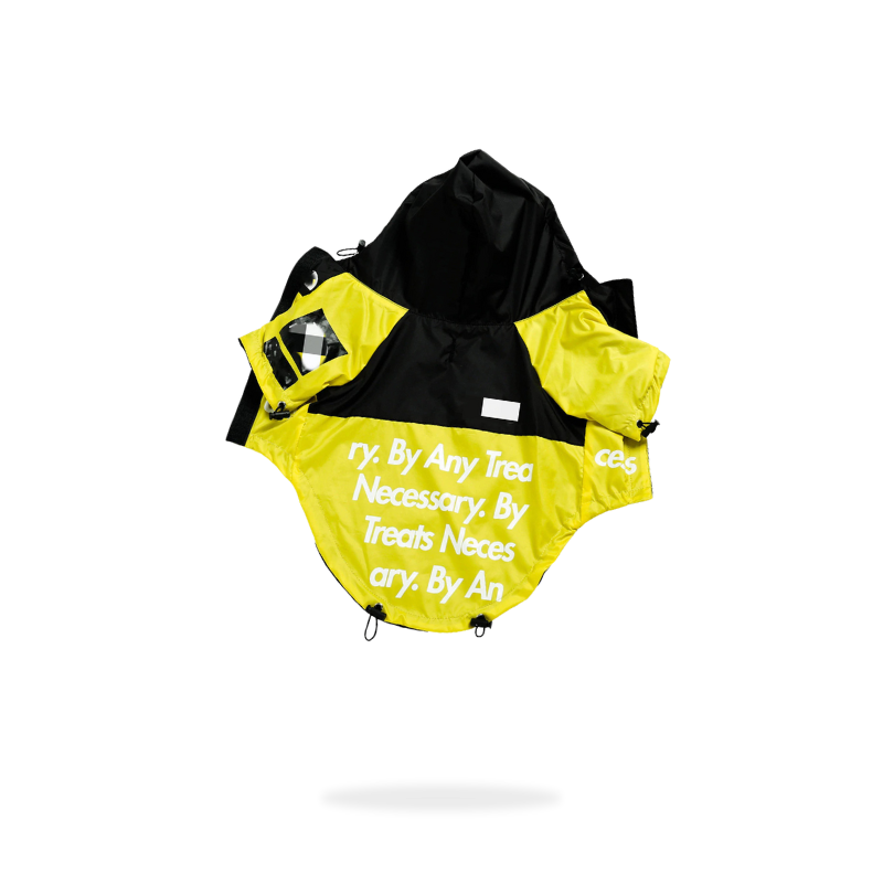 Pet Shirt