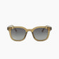 Tinted Sunglasses
