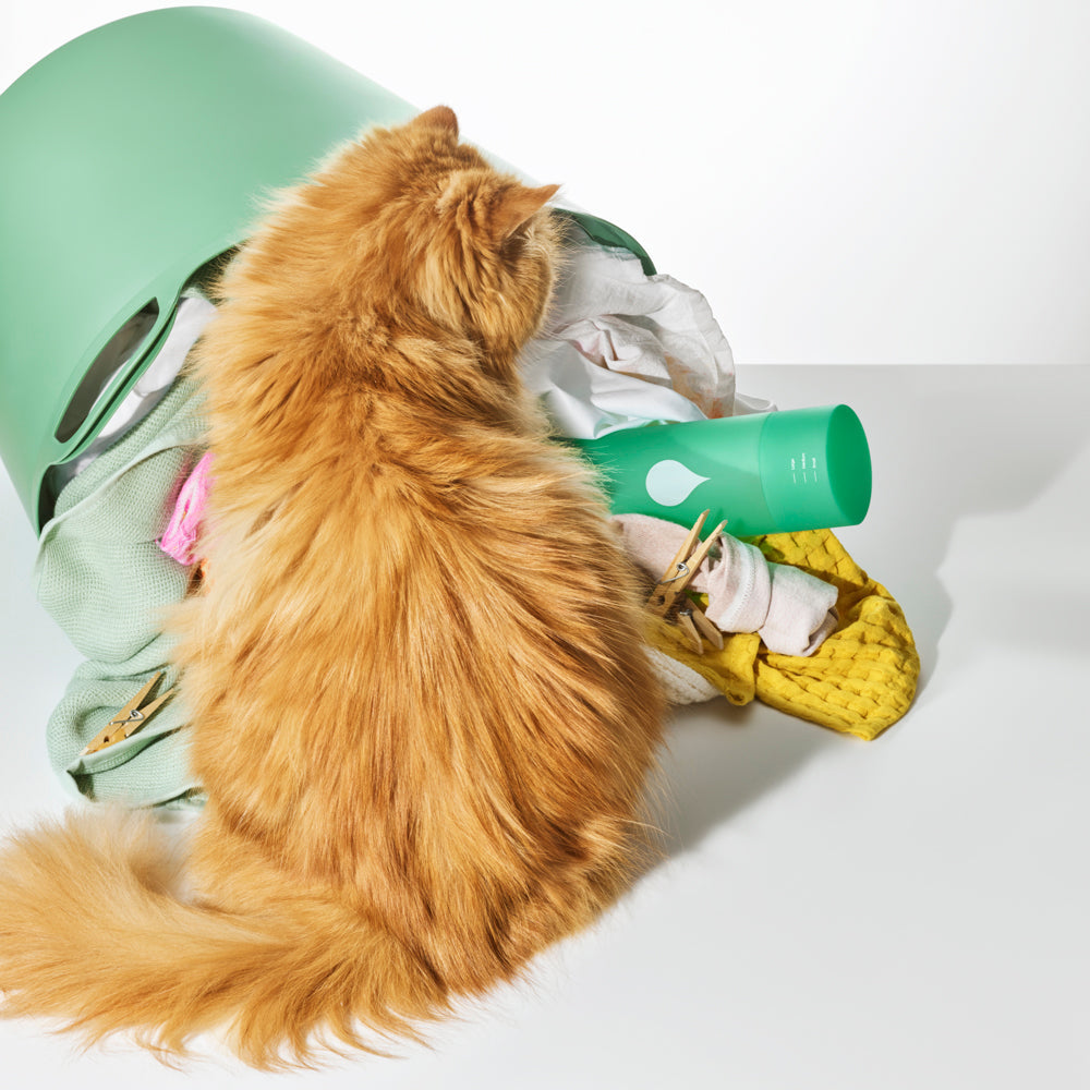 Everyday Laundry Detergent